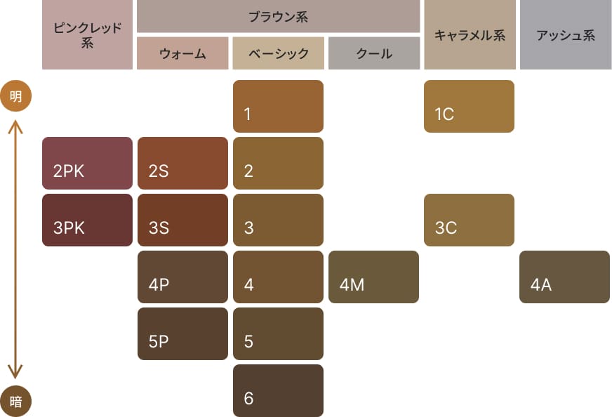 カラーバリエーションの図表