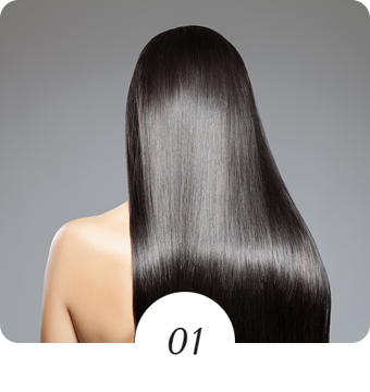 髪について知りたい