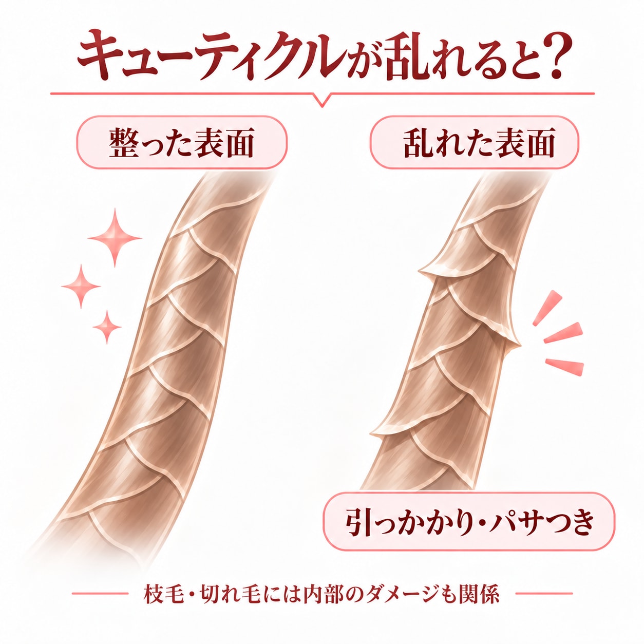 キューティクルが乱れると髪はどうなる？