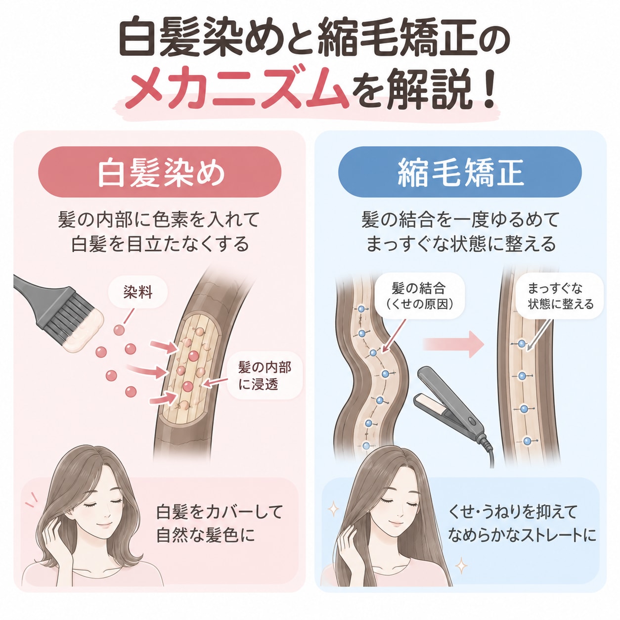 まずは白髪染めと縮毛矯正のメカニズムを解説！