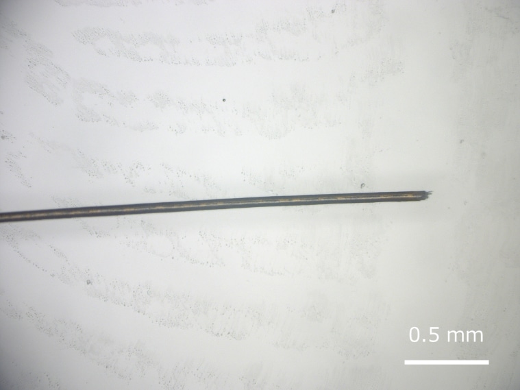 切れ毛