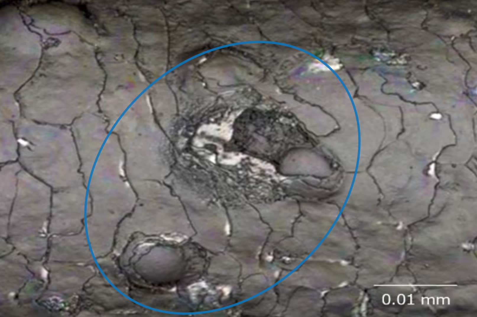 ドライヤーの熱によって生じたブリスター