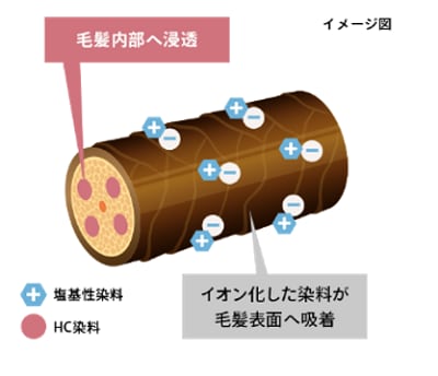 たった1回で驚きの染まり！　