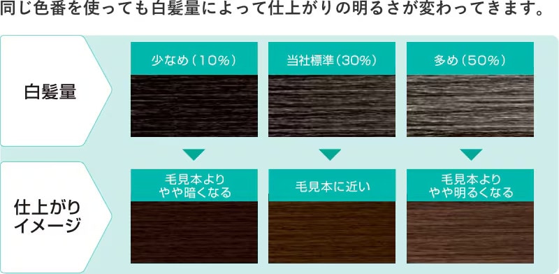 白髪用ヘアカラーの色