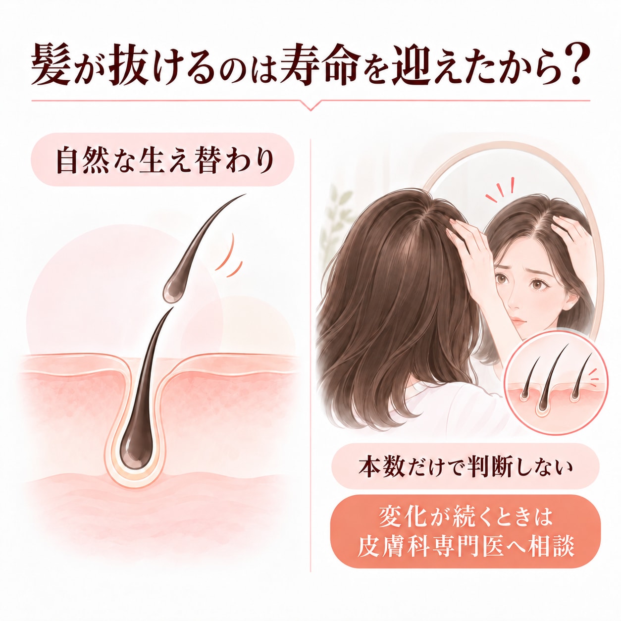 髪が抜けるのは寿命を迎えたから？