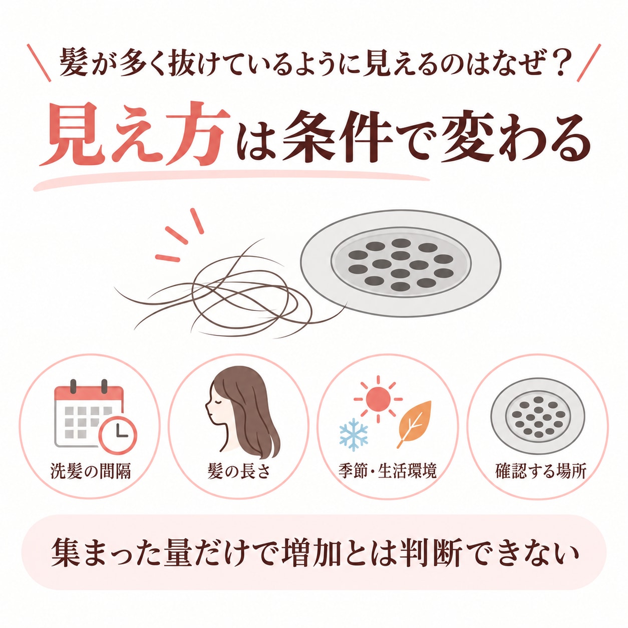髪が多く抜けているように見えるのはなぜ？