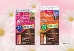 「ビゲン 香りのヘアカラー」から 明るい新色「３ＮＡ」が登場！！