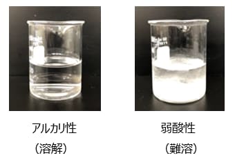毛髪の主要成分シスチンに着目した新ヘアケア技術を開発 ～シスチンを効率よく毛髪内へ補充できる技術を確立～