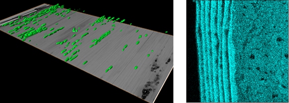 化粧品の国際学会で3件の研究発表