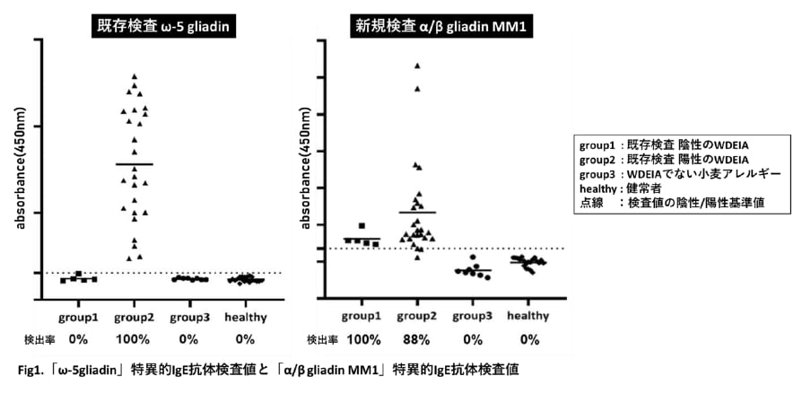 小麦アレルギー患者の診断精度を向上する新規抗原「α/β gliadin MM1」を発見